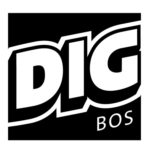 DIGweblogo.jpg